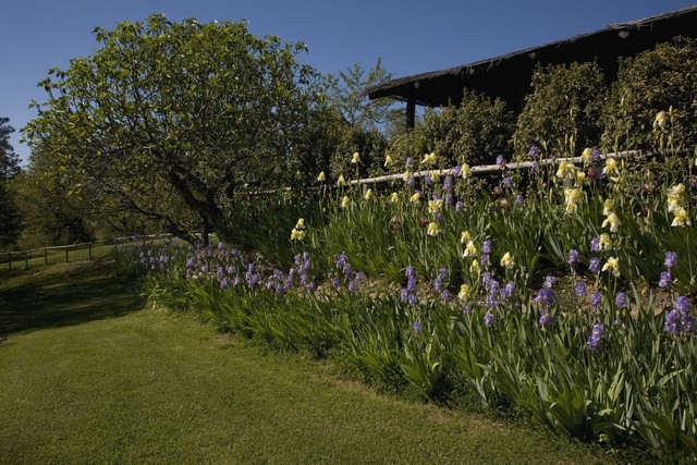 agriturismo piscina toscana siena san galgano